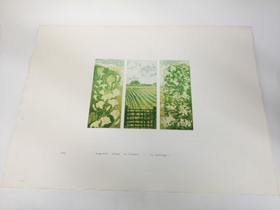 Lot 71 - Sue Kavanagh, contemporary, group of 6 signed limited edition coloured etchings - still life and landscape studies (6)