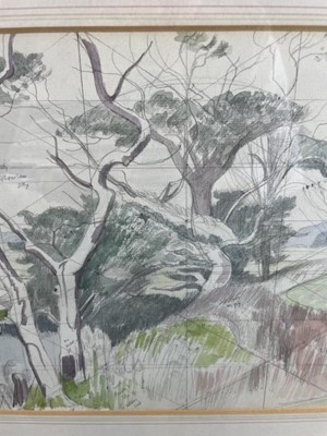 Lot 1168 - *John Northcote Nash (1893-1977) watercolour - landscape with cattle, squared for transfer and annotated in pencil, signed and dated 1971, 22.5cm x 38cm, in glazed frame