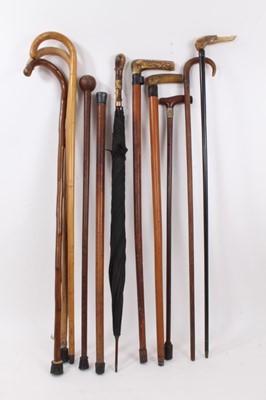 Lot 1019 - Collection of antique walking sticks, Victorian and later, together with an antique horn and gilt mounted umbrella. (11)