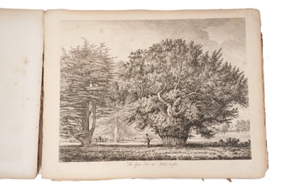 Lot 1036 - Book: 'Sylva Britannica' or 'Portraits of Forest Trees' Jacob George Strutt 'fecit et excudit' 34 Percy Street Bedford Square London 1826.  Lacking covers.  Folio 17" x 13".  Dedication to John Duk...