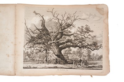 Lot 1036 - Book: 'Sylva Britannica' or 'Portraits of Forest Trees' Jacob George Strutt 'fecit et excudit' 34 Percy Street Bedford Square London 1826.  Lacking covers.  Folio 17" x 13".  Dedication to John Duk...