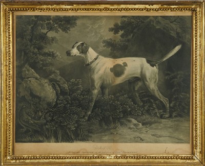 Lot 1147 - After Sawry Gilpin, pair of engravings by Robert Pollard, 'Dash, A valuable Pointer in the possession of Col. Thornton' and 'Modish, A remarkable fine Fox Hound bred by Col. Thornton', 43cm x 54cm,...