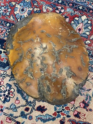 Lot 1109 - Late 19th/ early 20th century elephant foot tray, attributed to Rowland Ward, 45cm x 35cm