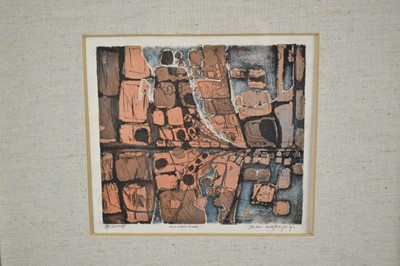 Lot 1190 - John Wolseley (Australian b.1938) two signed etchings and aquatints