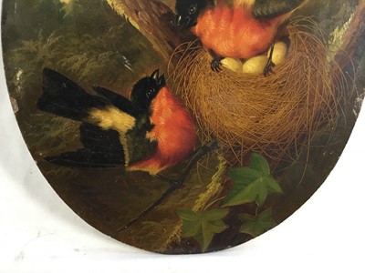 Lot 57 - Michaelangelo Meucci (1840-1890) oval oil on panel - Bullfinches, 21.5cm x 26.5cm, signed, gallery label verso, unframed