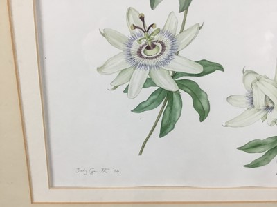 Lot 27 - Judy Garett, watercolour - Passion flower, signed and dated '94, 28cm x 42cm, mounted in glazed gilt frame, 51cm x 65cm overall