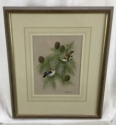 Lot 28 - Paul Dawson 20th century watercolour - Goldcrests, signed, 20cm x 27cm in glazed frame, 43cm x 50cm overall