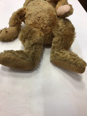 Lot 1851 - Early German Teddy Bear.  Cinnamon coloured curly mohair ( true colour evident in joints and back of bear), black wooden boot button eyes, unstuffed ears, long and shaved muzzle, head has centre se...