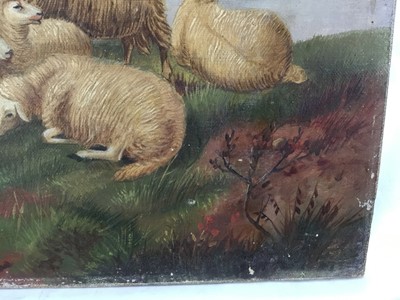 Lot 31 - J. Clark oil on canvas - sheep, signed, 51cm x 35cm unframed
