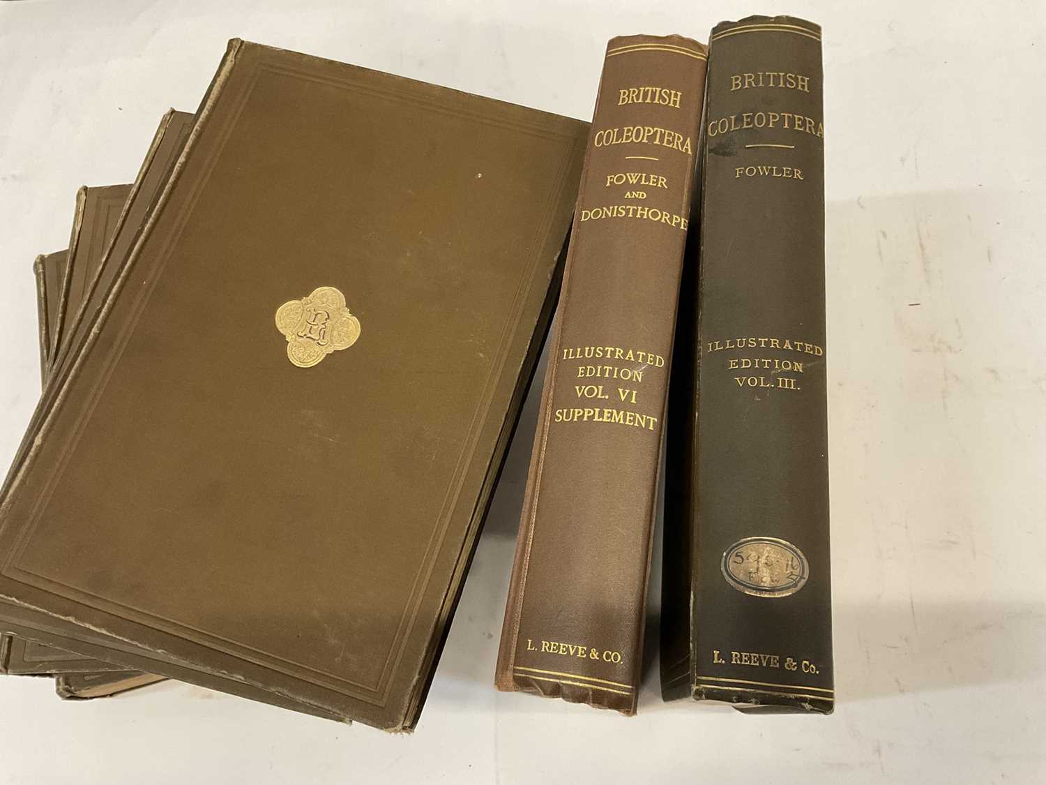 Lot 1745 - Rev. W W Fowler - The Coleoptera of the British Isles', 1887 - 1913, L. Reeve and Co. London, six volumes, original cloth binding