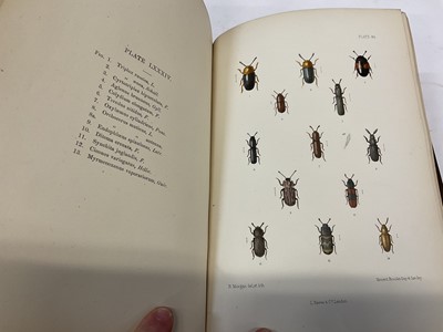 Lot 1745 - Rev. W W Fowler - The Coleoptera of the British Isles', 1887 - 1913, L. Reeve and Co. London, six volumes, original cloth binding