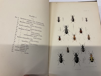 Lot 1745 - Rev. W W Fowler - The Coleoptera of the British Isles', 1887 - 1913, L. Reeve and Co. London, six volumes, original cloth binding