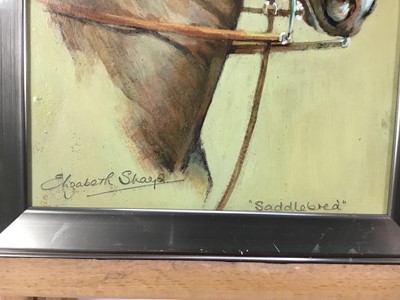 Lot 105 - Elizabeth Sharp, oil on board - study of ‘Saddlebred’ a chestnut  
hunter, signed and inscribed, 24cm x 19cm