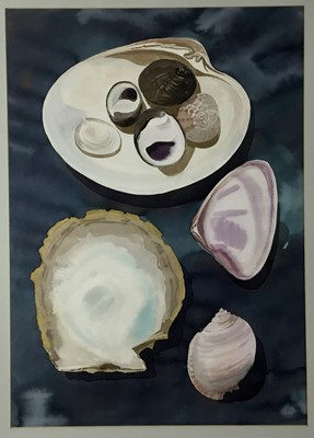 Lot 333 - Leonie Woolhouse (contemporary) watercolour - Shells on a dark blue ground, 1990