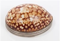 Lot 339 - George III Silverer mounted cowrie shell snuff...