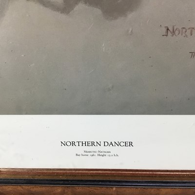 Lot 151 - Susan Crawford signed limited edition print - Northern Dancer, 226/250, printed 1987, in glazed frame