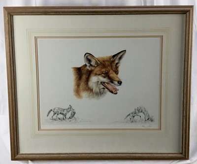 Lot 113 - A. Seward, signed limited edition print - Foxes, 63/300, in glazed frame