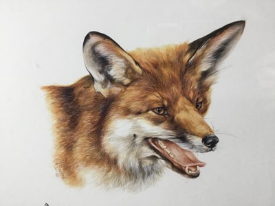 Lot 153 - A. Seward, signed limited edition print - Foxes, 63/300, in glazed frame
