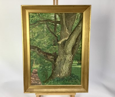 Lot 91 - Bengt Hedberg (Swedish, 1868-1953) oil - forest, signed and dated 1924