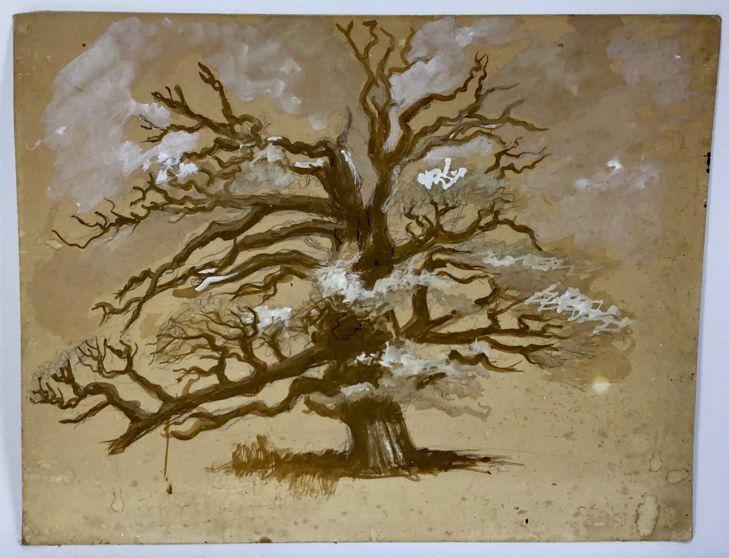 Lot 96 - Gordon Bradshaw b.1931 watercolour on card - ‘The Old Oak Tree Woodside Glen, 1962’,  monogrammed titled and signed verso
