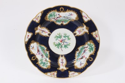Lot 42 - Scarce early 19th century possibly Coalport copy of first period Worcester plate with painted bird and insect reserves, together with 19th century cups and saucers with finely painted reserves