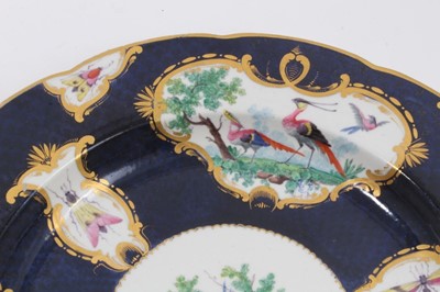 Lot 42 - Scarce early 19th century possibly Coalport copy of first period Worcester plate with painted bird and insect reserves