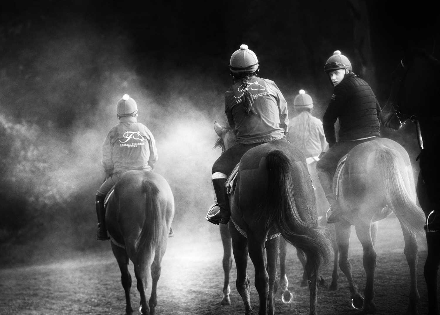 Lot 11 - Jayne Odell black and white photographic print, 'New beginnings - out with the yearlings', 60cm x 43cm