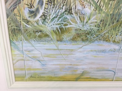 Lot 336 - Ann Stone, 20th century watercolour and gouache - Cheetah family, signed and dated 1979, in faux bamboo frame, 54cm x 79cm