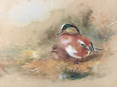 Lot 328 - James Stinton (1870-1961) Royal Worcester Artist, two watercolours in a single frame, ducks and pheasants, signed
