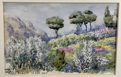 Lot 322 - John Codrington (1898-1991) watercolour - Wild Garden at Paarl, Western Cape, South Africa 1967, 16cm x 11cm