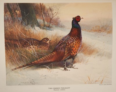 Lot 916 - John Guille Millais - The Natural History of British Game Birds, Longmans, Green & Co., 1909, numbered 162 from a limited edition of 550, thirty-six plates after Millais and Archibald Thorburn (eig...