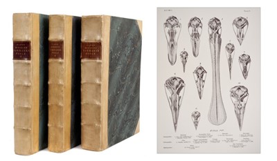 Lot 931 - Eiler Theodor Lehn Schiøler - Danmarks Fugle (Denmark's Birds), 1925 first edition, three volumes, original binding with marbled boards and velum, folio, 38 x 29cm