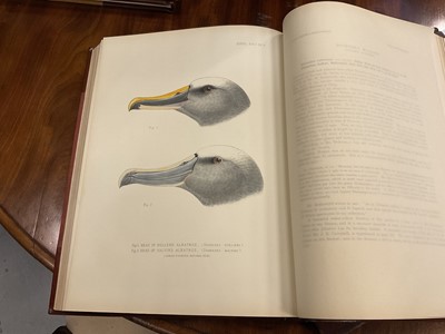 Lot 930 - Sir Walter Lawry Buller - A History of the Birds of New Zealand, the 1905 supplement, Vols. 1 & 2, 12 coloured plates, original half calf binding, folio 39 x 30cm