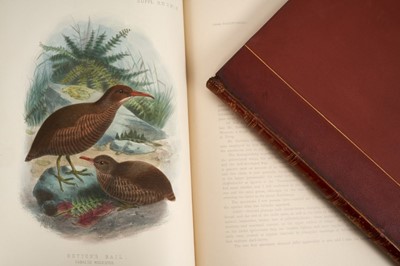 Lot 930 - Sir Walter Lawry Buller - A History of the Birds of New Zealand, the 1905 supplement, Vols. 1 & 2, 12 coloured plates, original half calf binding, folio 39 x 30cm