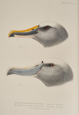 Lot 930 - Sir Walter Lawry Buller - A History of the Birds of New Zealand, the 1905 supplement, Vols. 1 & 2, 12 coloured plates, original half calf binding, folio 39 x 30cm