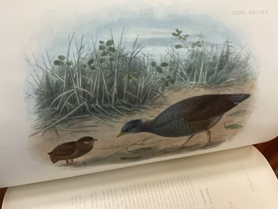 Lot 930 - Sir Walter Lawry Buller - A History of the Birds of New Zealand, the 1905 supplement, Vols. 1 & 2, 12 coloured plates, original half calf binding, folio 39 x 30cm