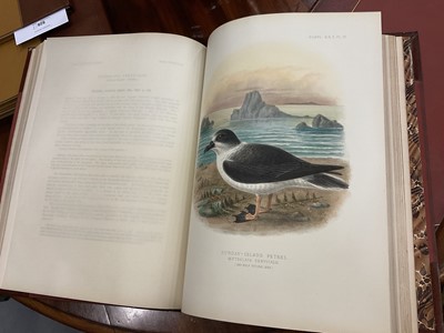 Lot 930 - Sir Walter Lawry Buller - A History of the Birds of New Zealand, the 1905 supplement, Vols. 1 & 2, 12 coloured plates, original half calf binding, folio 39 x 30cm