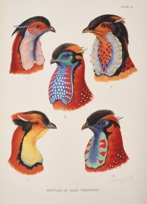 Lot 917 - William Beebe - 'A monograph of the pheasants', published by Witherby & Co, London 1918, first edition, numbered 450 of 600 copies, four vols, red cloth boards, folio, 41 x 31cm