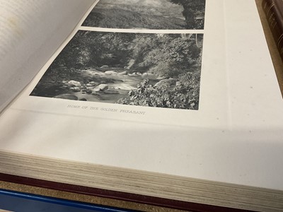 Lot 917 - William Beebe - 'A monograph of the pheasants', published by Witherby & Co, London 1918, first edition, numbered 450 of 600 copies, four vols, red cloth boards, folio, 41 x 31cm