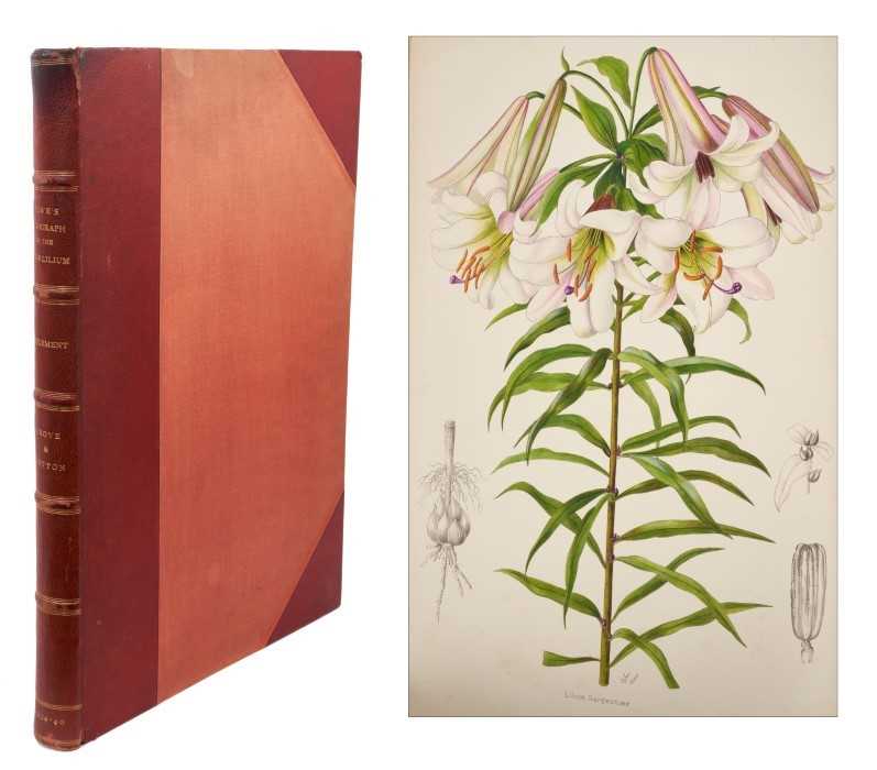 Lot 961 - Arthur Grove & Arthur Disbrowe Cotton -  A Supplement to Elwes' Monograph of the Genus Lilium, Illustrated by Lilian Snelling, parts 1-7, 1933-1940, large folio 57 x 39cm, together with W. B. Turri...