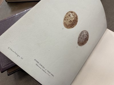 Lot 900 - F. Poynting - Eggs of British birds with some account of their breeding habits. London, R.H. Porter 1895-96, in two Vols, tooled leather, 30 x 25cm