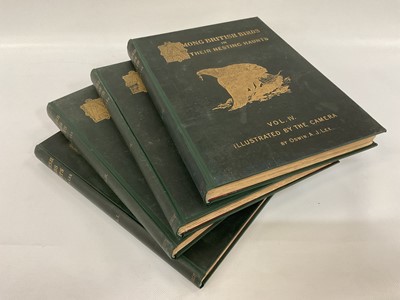 Lot 912 - Oswin A. J. Lee - Among British Birds in their Nesting Haunts, published Edinburgh: David Douglas, 1897-99, 4 vols, folio 39 x 29cm, original gilt tooled green cloth bindings