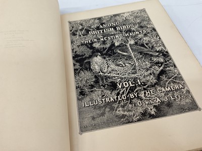 Lot 912 - Oswin A. J. Lee - Among British Birds in their Nesting Haunts, published Edinburgh: David Douglas, 1897-99, 4 vols, folio 39 x 29cm, original gilt tooled green cloth bindings