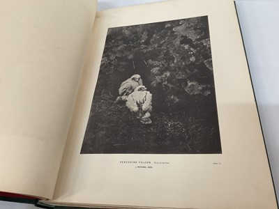 Lot 912 - Oswin A. J. Lee - Among British Birds in their Nesting Haunts, published Edinburgh: David Douglas, 1897-99, 4 vols, folio 39 x 29cm, original gilt tooled green cloth bindings