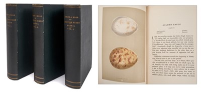 Lot 905 - F O Morris - A Natural History of the Nests and Eggs of British Birds, 3 volumes, fourth edition, London: John C. Nimmo, 1896, 8vo. 27 x 20cm