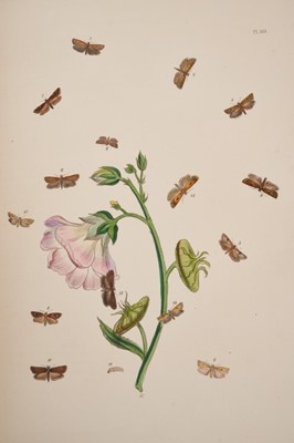 Lot 950 - Henry Noel Humphreys and John Obadiah Westwood - British Moths and their Transformations, 2 vols., 1st ed., 1851, fine tooled calf binding