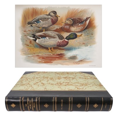 Lot 913 - John Guille Millais - The Natural History of British Surface Feeding Ducks, numbered 412 of 600 copies, 1902, 33 x 31cm good modern rebinding