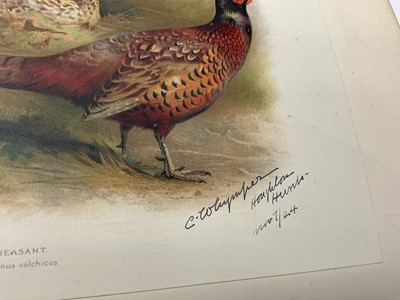 Lot 914 - Charles Dixon - Game Birds and Wild Fowl of the British Isles, 1900, edition De-Luxe, numbered 36 of 100, modern half calf binding 38 x 29cm