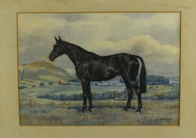 Lot 1046 - Dorothy Margaret & Elizabeth Mary Alderson, watercolour - a black horse in landscape, signed and dated 1936, 35cm x 49cm, in glazed frame