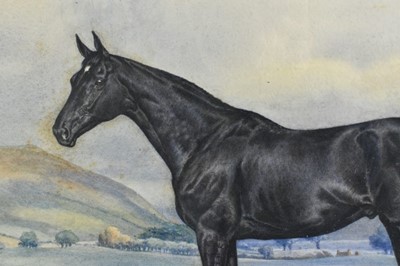 Lot 1046 - Dorothy Margaret & Elizabeth Mary Alderson, watercolour - a black horse in landscape, signed and dated 1936, 35cm x 49cm, in glazed frame